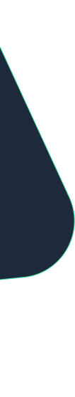 Decorative left shape